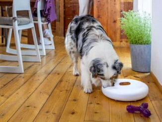 chytré krmítko Tesla Smart Feeder Nutri Spin