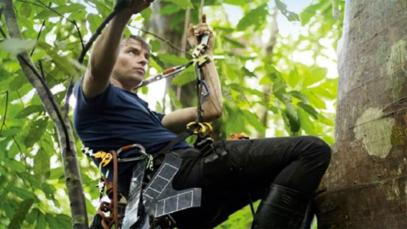 spolupráce Huawei a Raiforest Connection ochrana nelegální těžba a lov zvěře