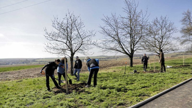 HP Amplify Impact program výsatba stromky Slatinky