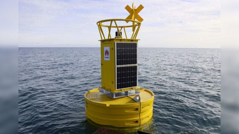 ochrana přírody Huawei Tech4Nature poslouchání velryb Yucatan