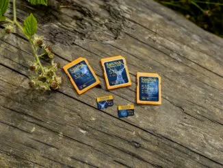paměťové karty SanDisk specifikace cena