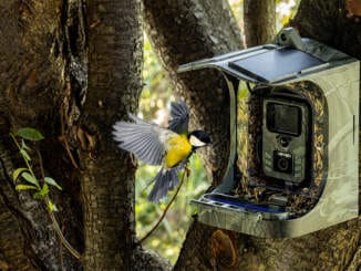 EVOLVEO, StrongVision BirdFeeder, krmítko, kamera, aplikace, Wi-Fi, zahrada, pozorování ptáků, specifikace, cena