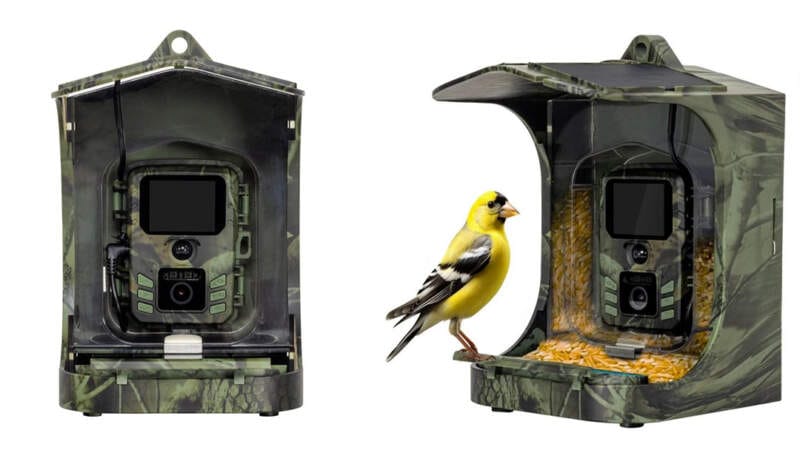 EVOLVEO, StrongVision BirdFeeder, krmítko, kamera, aplikace, Wi-Fi, zahrada, pozorování ptáků, specifikace, cena