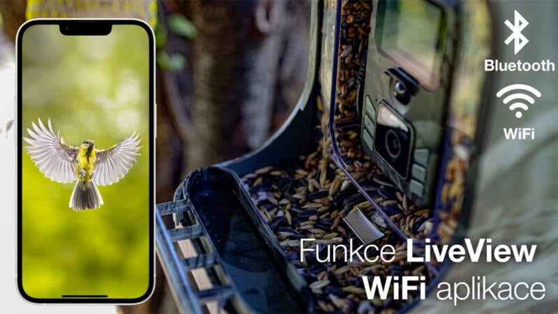 EVOLVEO, StrongVision BirdFeeder, krmítko, kamera, aplikace, Wi-Fi, zahrada, pozorování ptáků, specifikace, cena